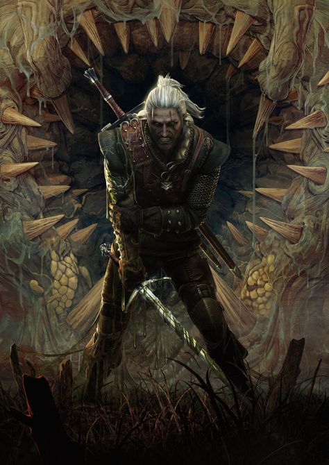 The Witcher 1, The Witcher 2, Witcher 2, The Witcher Game, Giant Bomb, The Witcher Geralt, The Witcher Books, Witcher Art, Mal Humor