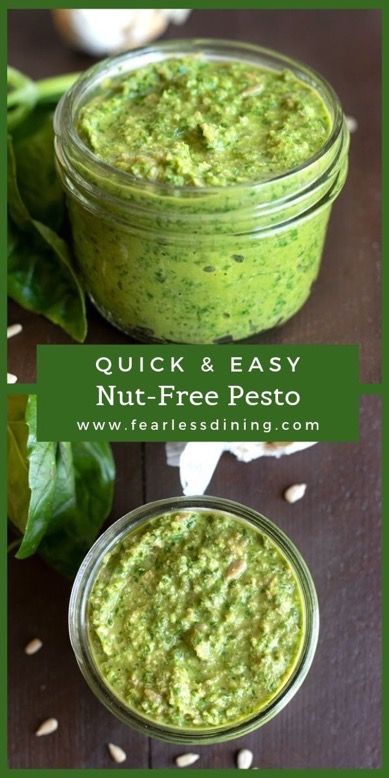 Pesto Recipe No Nuts, Fresh Basil Recipes, Nut Free Pesto, Pesto Sauce Recipe, Homemade Pesto Recipe, Alpha Gal, Pesto Recipes, Basil Pesto Recipes, Basil Recipes