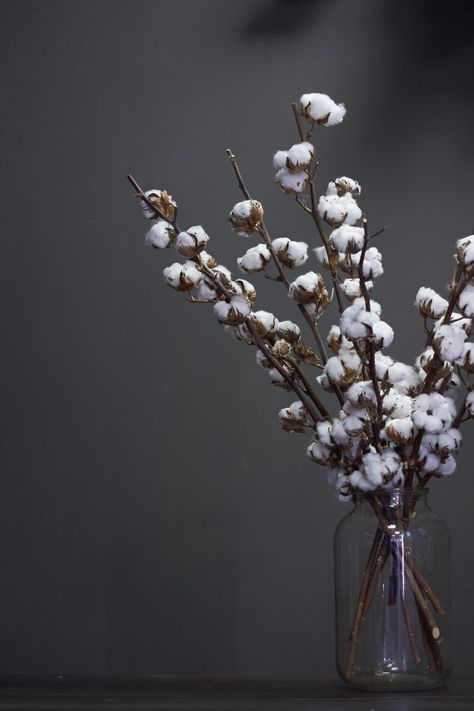 Vase With Branch, Branches In Glass Vase, Winter Branches In Vase, Cotton Branches In Vase, Cotton Stem Arrangements, Cotton Branches, Ice Texture, Micro Photography, Cotton Plant