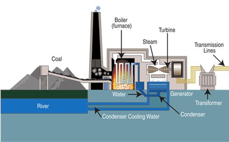 (Click to enlarge.) Diagram showing basic operation of a coal-fired power plant with a steam turbine at its core. Image source: Wikipedia Plant Diagram, Coal Power Plant, Thermal Power Station, Coal Fired Power Plant, Coal Plant, Thermal Power Plant, Plant Activities, Steam Turbine, Steam Boiler