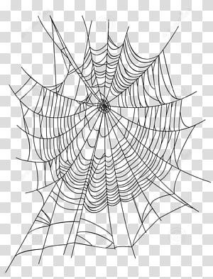 Spider Web Transparent Background, Cartoon Spider Web, Black House Spider, Spider Web Png, Spider Png, Icon Transparent Background, Spider Icon, Spider Web Drawing, Spider Cartoon