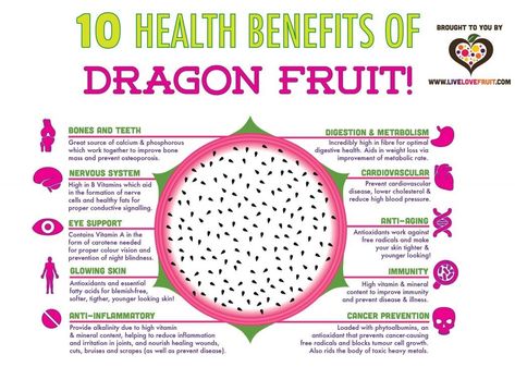 Dragon Fruit Flower, Dragon Fruit Benefits, Family Future, Buah Naga, Fruit Health, Tomato Nutrition, Fruit Du Dragon, Thanh Long, Coconut Health Benefits