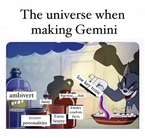 Gemini And Sagittarius Memes, Gemini X Gemini, Gemini Core, Gemini Things, Gemini Stuff, Gemini Women, June Gemini, All About Gemini, Gemini Zodiac Quotes