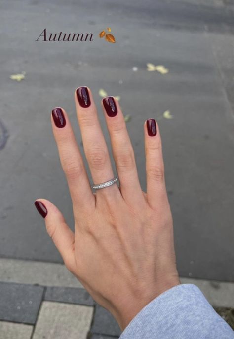 Meadows Aesthetic, Deep Red Nails, Wine Nails, Maroon Nails, Autumn Breeze, Hello Nails, Fall Gel Nails, Changing Leaves, Nails Polish