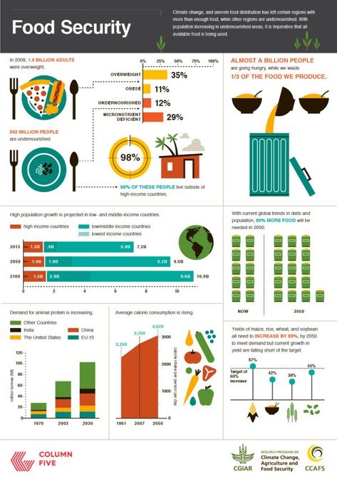 Is The Future Of Our Food Safe  Infographic Facts About Food, Global Citizenship, Scary Facts, Green Revolution, Food Infographic, Food Tech, Food Technology, World Hunger, Fat Loss Foods