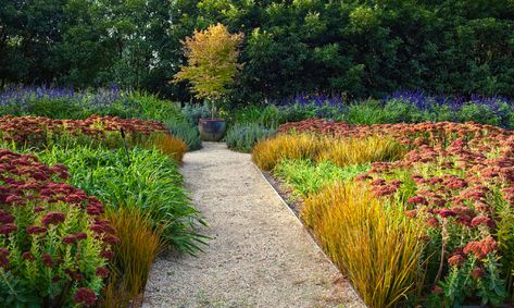 Knot gardens are characterized by their intricate interweaving of low-growing plants. The plants form geometric patterns that have roots dating back to medieval times. Knot gardens have a problem though. In your average American garden they always seem to me to a be bit of a design trick. Learn how to make a loose knot garden with sedum and grass. Parterre Garden Design, Suburban Landscape, Garden Design Ideas Inspiration, Knot Garden, Parterre Garden, Suburban Home, Planting Design, Drought Tolerant Landscape, American Garden