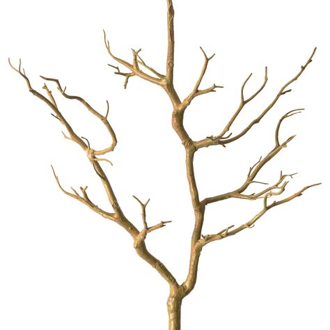 3ft. Bare Birch Branch by Ashland® Wood Branch Decor, Faux Tree Branches, Manzanita Tree Centerpieces, Tree Branch Centerpieces, Artificial Tree Branches, Branch Centerpieces, Vase With Branches, Tree Branch Decor, Faux Branches