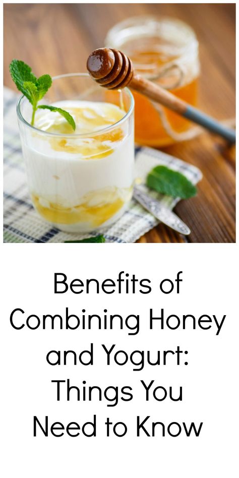 The "Benefits of Combining Honey and Yogurt: Things You Need to Know via @HostessAtHeart Greek Yogurt Snacks, Honey And Yogurt, Fruit Stick, Yogurt Benefits, Yogurt Snacks, Homemade Greek Yogurt, Cinnamon Benefits, Healthy Nutrition Plan, Honey Yogurt