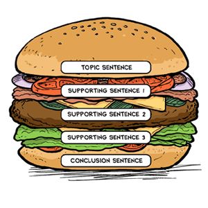 The "paragraph hamburger" is a writing organizer that visually outlines the key components of a paragraph. Topic sentence, detail sentences, and a closing sentence are the main elements of a good paragraph, and each one forms a different "piece" of the hamburger. Paragraph Hamburger, Hamburger Paragraph, Paragraph Worksheets, Concept Maps, Graphic Organizer Template, Writing Graphic Organizers, Writing Organization, Topic Sentences, Writing Plan