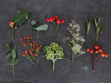 Free Christmas Decorations, Winter Foraging, Foraging Guide, Christmas Wedding Flowers, Preserve Flowers, Christmas Foliage, Winter Arrangements, Woodland Flowers, Winter Decorating