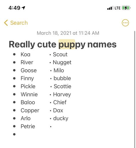 Puppy Names Aesthetic, Widgetable Pet Names, Coquette Pet Names, Cute Pet Names Animals, Plushie Names, Cute Puppy Names, Cute Pet Names, Boy Dog Names, Rabbit Names