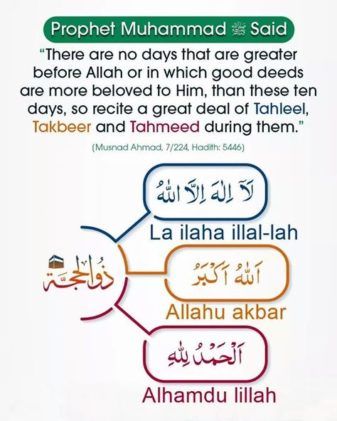 Hajj Quotes, Ramadan Day, Good Deeds, Prophet Muhammad, Islamic Pictures, Quran Verses, Quran Quotes, Islamic Quotes, Ramadan