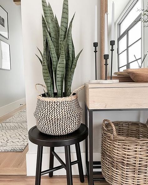 Check out this photo from The Sister Studio Living Room Snake Plant, Snake Plant In Basket, Plant On A Stool, Snake Plant Styling, Faux Snake Plant, Snake Plant Indoor Decor Ideas, Decorating With Snake Plants, Snake Plant In Bathroom, Indoor Snake Plant