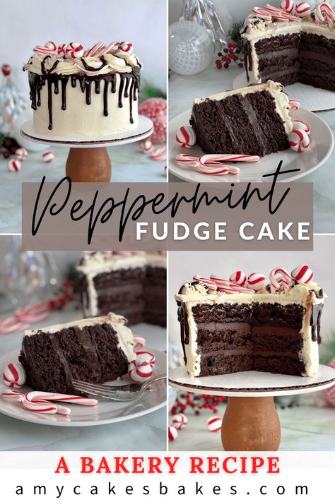 This peppermint chocolate cake combines layers of super moist and rich chocolate cake with fudgy chocolate peppermint ganache and creamy peppermint buttercream. At Amycakes Bakery, Peppermint Fudge Cake was the most popular seasonal cake flavor--the perfect holiday cake! White Chocolate Peppermint Frosting, Peppermint Ganache Recipe, York Peppermint Patty Cake, Popular Cakes 2023, Chocolate Peppermint Cake Recipe, Chocolate Cake With Peppermint Frosting, Peppermint Fudge Cake, Christmas Cakes Chocolate, Dark Chocolate Peppermint Cake