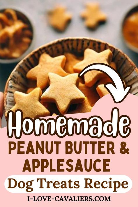 Applesauce And Peanut Butter Dog Treats, Dog Apple Treats, Apple Dog Treats Homemade Easy, Applesauce Dog Treats Homemade, Peanut Butter Dog Treats Homemade, Diy Dog Treats Easy, Applesauce Dog Treats, Homade Dog Treats, Pup Treats