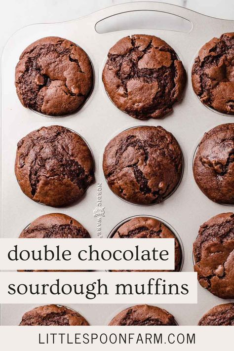 The Best Muffins, Best Muffins, Chocolate Sourdough, Sourdough Starter Discard, Sourdough Muffins, Double Chocolate Chip Muffins, Recipe Using Sourdough Starter, Chocolate Muffin Recipe, Sourdough Starter Discard Recipe