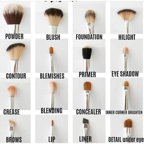 Types Of Makeup Brushes, Makeup Brush Uses, Membentuk Alis, Make Up Foundation, Bentuk Alis, Brush Guide, Mekap Mata, Makeup Order, Makeup Brushes Guide