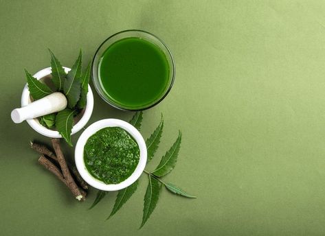 Ayurveda Lifestyle. Neem Leaves, How To Treat Dandruff, Ayurveda Hospital, Leaves Photo, Detox Diet Plan, Procreate Lettering, Cleanse Your Body, Naturopathy, Neem Oil