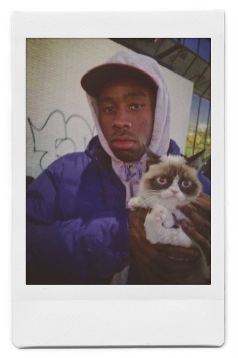 #tylerthecreator #aesthetic #polaroid Tyler The Creator Polaroid, Music Polaroid Posters Tyler The Creator, Tyler The Creator Vinyl Aesthetic, Tyler The Creator Chromakopia Album Cover, Tyler The Creator Vinyl Record, Instagram Funny Videos, Tyler The Creator, Instagram Funny, Photo Cards