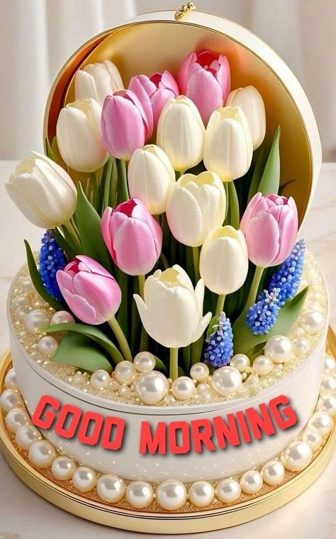 Good Morning Flowers Awesome, Shaban Mubarak, Good Morning Friday Images, Crying Photography, Happy Good Morning Images, Morning Friday, Friday Images, Morning Msg, Good Night Love Messages