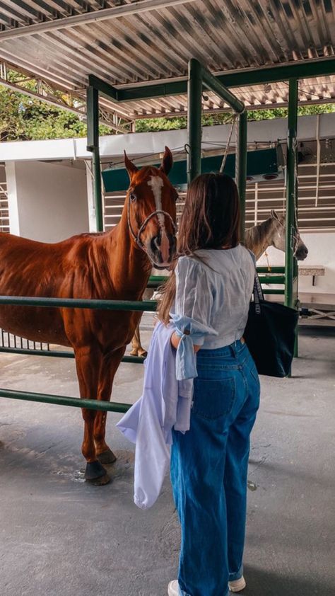 Equine Vet Tech, Zoo Tampa, Vet Pictures, Vet School Motivation, Veterinary Doctor, Equine Vet, Vet Doctor, Equine Veterinary, Large Animal Vet