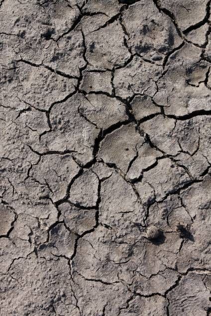 cracked, mud, dry, drought, lifeless, dirt, dehydration Cracked Ground, Texture Download, Theme Nature, Free Textures, Material Textures, Materials And Textures, The Soil, Surface Textures, Patterns In Nature