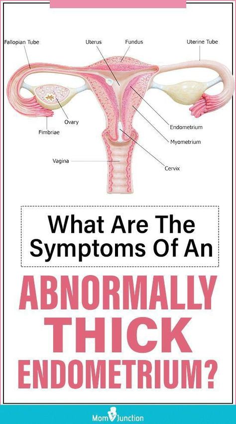 Endometrial Hyperplasia Symptoms, Endometrial Hyperplasia Diet, Thick Uterine Lining, Hyperplasia Endometrial, Endometrial Thickness, Uterus Health, Endometrial Carcinoma, Surgery Prep, Endometrial Hyperplasia