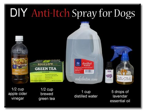 DIY Anti-Itch Spray for Dogs                                                                                                                                                     More Dog Itching Remedies, Dog Allergy, Pet Remedies, Dog Spray, Itchy Dog, Dog Remedies, Dog Itching, Anti Itch, Dog Allergies