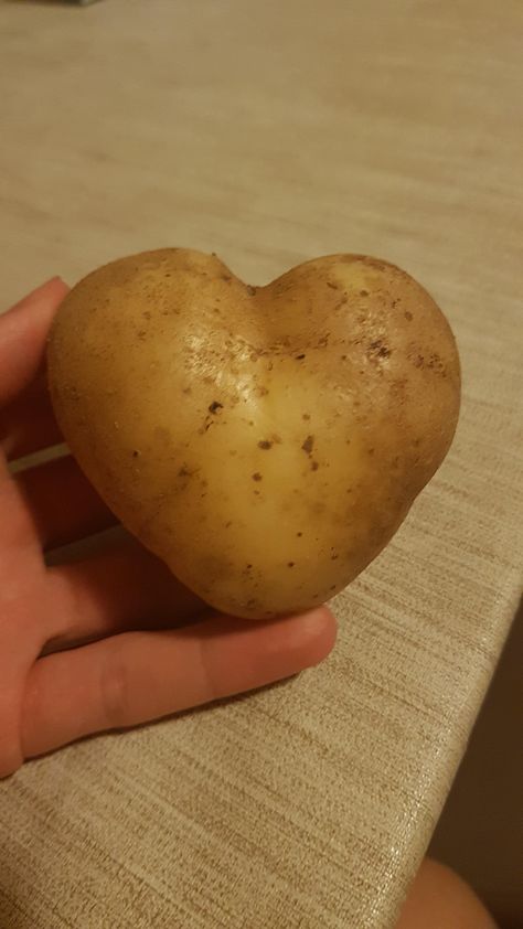 Potatoe Aesthetic, Aesthetic Potato, Potato Background, Potatoes Aesthetic, William Aesthetic, Potato Aesthetic, Potato Photo, Potato Picture, Happy Potato