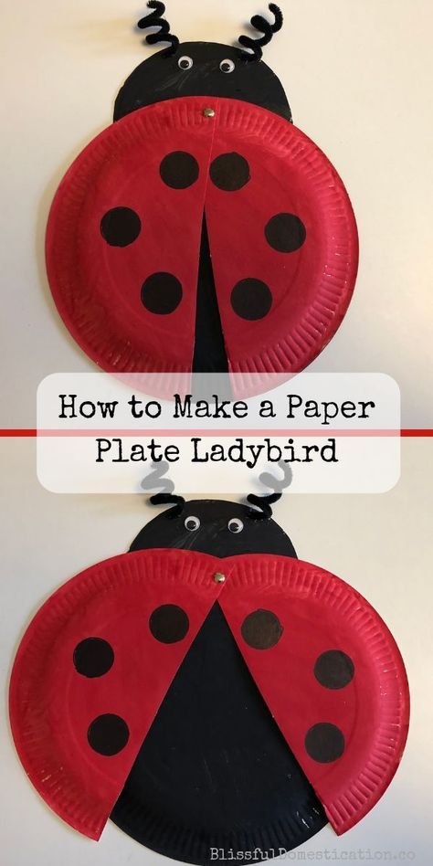 How to mkae a paper plate ladybird pin Ladybird Craft, Ladybug Craft, Paper Plate Animals, Paper Plate Craft, Rainbow Craft, Paper Plate Crafts For Kids, Ladybug Crafts, Christian Kids, Paper Plate Crafts