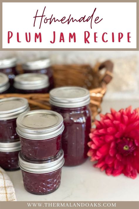 How to Make Homemade Plum Jam — Thermaland Oaks Preserving Plums, Jelly Homemade, Plum Jam Recipe, Plum Jam Recipes, Canning Fruit, Plum Recipes, Jam Recipes Homemade, Canning Jam, Plum Jam