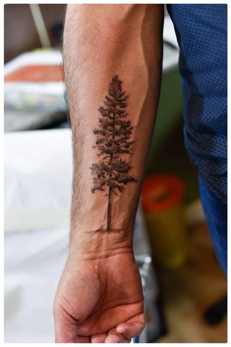 Men Tree Tattoo Arm, Tree On Forearm Tattoo, Pine Tree Arm Tattoo, Men’s Tree Tattoo, Forearm Tree Tattoo For Men, Mens Tree Tattoo, Tree Tattoo Men Arm, Men Nature Tattoo, Men Tree Tattoo