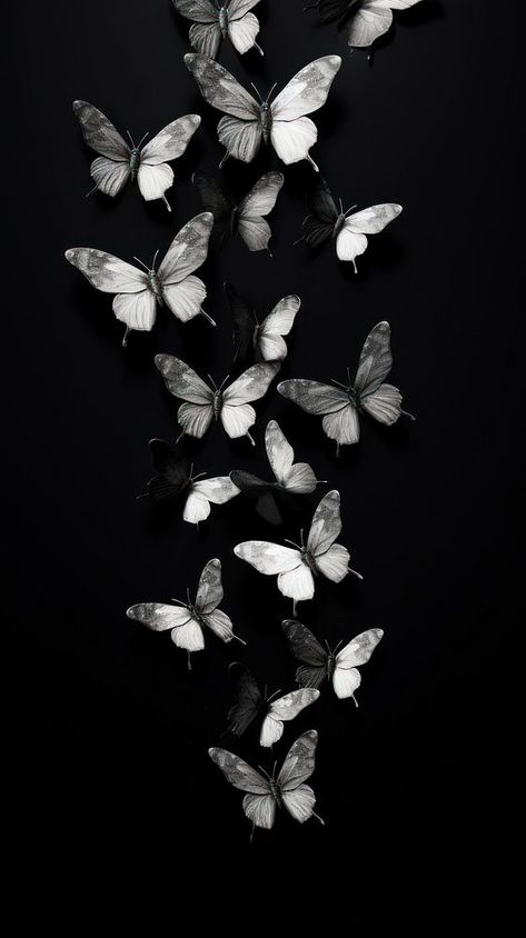 Photography of flying butterflies black monochrome white. | premium image by rawpixel.com / Aew Black Vibe Aesthetic, Iphone Wallpaper Butterfly, Black Butterfly Wallpaper, Black Butterflies Aesthetic, Dark Academia Background, Phone Wallpaper Black, Butterfly Phone Wallpaper, Vibes Background, Wallpaper Butterfly