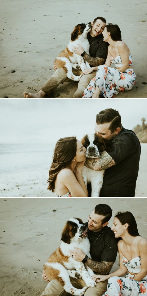 Couples Beach Photoshoot With Dog, Family Beach Pictures With Dog, Roxy Photoshoot, Beach Photos With Dog, Dog Family Photoshoot, Photoshoot Ideas With Dogs, Engagement With Dog, Couple Photoshoot With Dog, Photoshoot With Dog