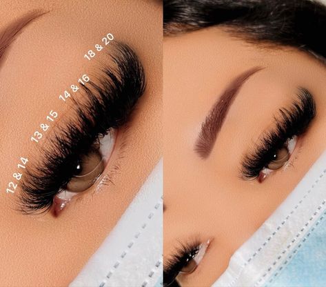 Mega Eyelash Extensions Styles, Eyelash Extensions Mapping Styles Volume, Mega Lash Extensions Styles, Mega Volume Lash Mapping, Mink Volume Lash Extensions, Lash Mapping Volume, Lash Extensions Mapping Styles Mega Volume, Mega Eyelash Extensions, 18mm Lash Extensions