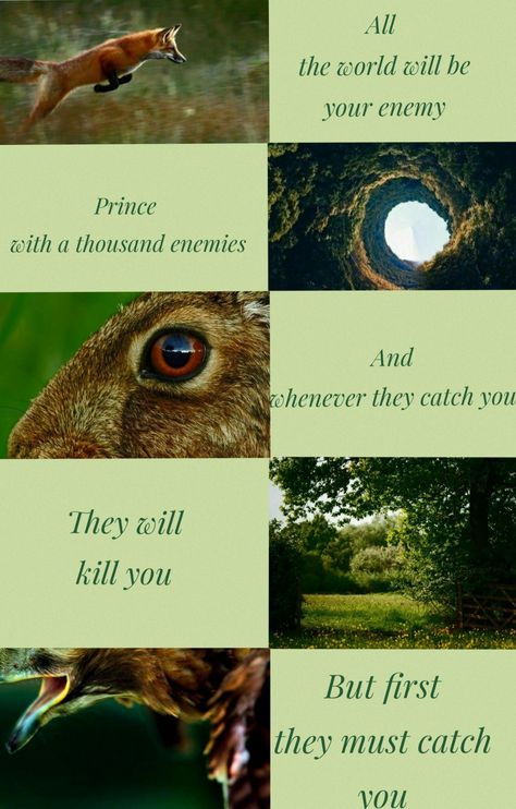 Watership Down Aesthetic, Down Aesthetic, Watership Down, Movie Posters, Film Posters