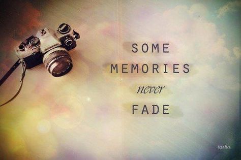 School Memories Quotes, Photography Inspiration Quotes, Camera Quotes, Quotes About Photography, Memories Quotes, Never Fade, Photo Quotes, Some Words, Travel Quotes