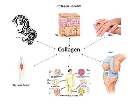 What are the benefits of Collagen. Why do I need to take Collagen. What kind of Collagen shoudl I take. Does it really help? Health Benefits Of Collagen, Taking Collagen, Benefits Of Collagen, Hotel Soap, Increase Testosterone Levels, Skin Lightener, Collagen Fibers, Collagen Benefits, Increase Testosterone