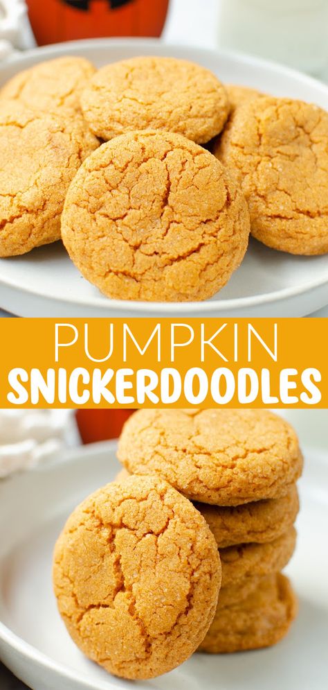 Pumpkin Spice Pudding, Chewy Pumpkin Cookies, Pumpkin Snickerdoodle Cookies, Snickerdoodles Recipe, Pumpkin Recipes Dinner, Cookies Pumpkin, Pumpkin Snickerdoodles, Pumpkin Pudding, Pumpkin Spice Recipe