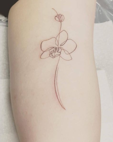 Orchid Tattoo Meaning, Orchid Tattoos, Orchid Flower Tattoos, Orchid Tattoo, Aquarius Tattoo, Friendship Tattoos, Elegant Tattoos, Simplistic Tattoos, Line Tattoos