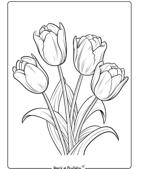 Tulip Tattoo Stencil, Tulips Drawing Sketch, Flower Drawing Tulip, Tulips Flowers Drawing, Tulip Outline, Tulip Flower Drawing, Poppy Flower Drawing, Bird Silhouette Art, Drawings To Trace