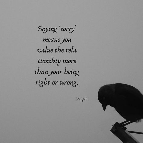 Why Do I Always Say Sorry, Why Do I Say Sorry So Much, Saying Sorry Quotes, Sorry Quotes, Say Sorry, Saying Sorry, One Liner, Love Quotes, Poetry