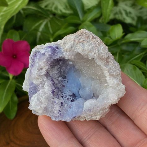 Spirit Flower Geodes Newly listed! #etsy shop: Beautiful Spirit Flower Geode | New Find 2021 | Blue Chalcedony, Druzy Quartz, Blue Fluorite https://etsy.me/3rctrTQ #white #blue #bluechalcedony #bluecrystals #botryoidal #chakracrystals #clearquartzcrystal #cryst Magical Stones, Angel Aura Quartz, Blue Fluorite, Crystal Geode, Rose Quartz Heart, Druzy Quartz, Amethyst Geode, Pink Amethyst, Chakra Crystals