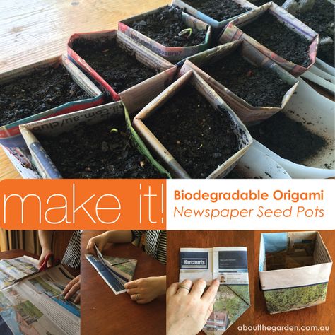 Learn to make Biodegradable Pots for Seedlings- Origami Newspaper Method DIY step-by-step instructional www.aboutthegarden.com.au #recycle #repurpose #paper #newspaper #greenliving #garden #grow #seeds #organic #biodegradable #fortomorrow #atg2014 #aboutthegarden #searles #fun #kids #children #project #origami #foldit Diy Step, Garden Magazine, Building Raised Garden Beds, Seedling Pots, Seed Pots, Paper Pot, Diy Step By Step, Bottle Garden, School Garden