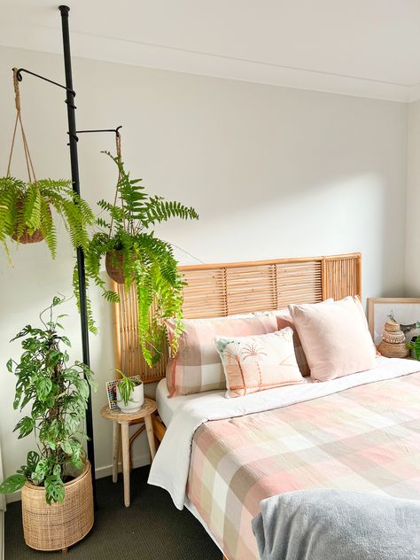 Plants Over Bed, Hanging Plant Indoor, Hang Plants From Ceiling, Hanging Plants Ideas, Plant Apartment, Plant Display Ideas, Diy Hanging Planter, Plant Containers, Behind Couch