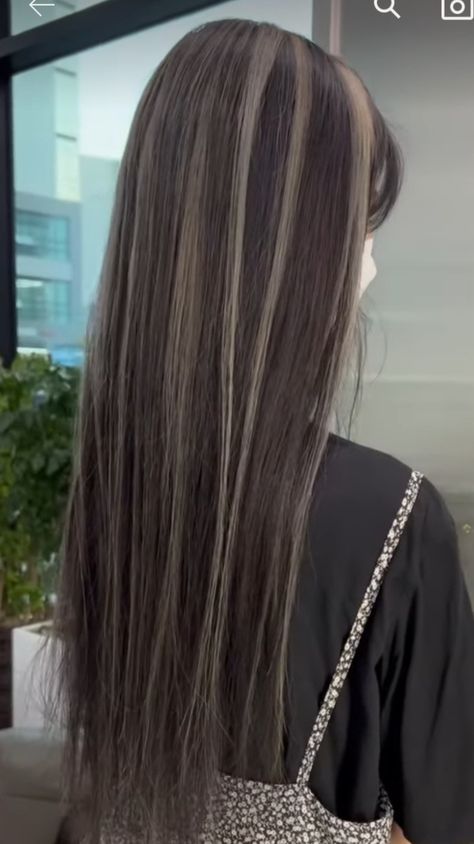 Brown Hair With Silver Streaks, Skunk Highlights Dark Brown, Brown Hair White Highlight, Brown Hair With White Highlights, Simple Highlights, Pretty Hair Cuts, Skunk Hair, Blonde Highlights On Dark Hair, Korean Hair Color