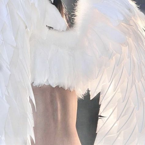 Angelcore Aesthetic White, Kyoko Sakura, Angelcore Aesthetic, Angel Aesthetic, White Wings, White Swan, White Feathers, Blogger Girl, Fallen Angel