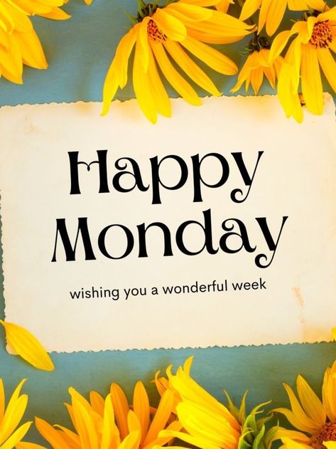 Good Morning Monday Have A Great Week, Monday Motivation Positive Thoughts, Gm Monday, Have A Nice Monday, Motivational Mondays, Happy Monday Images, Congratulations Images, Monday Greetings, Monday Wishes