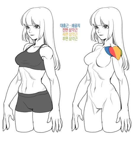 Female Anatomy Reference, Male Figure Drawing, Human Anatomy Drawing, Human Figure Drawing, Anatomy Sketches, Body Reference Drawing, 캐릭터 드로잉, Female Anatomy, Foto Poses