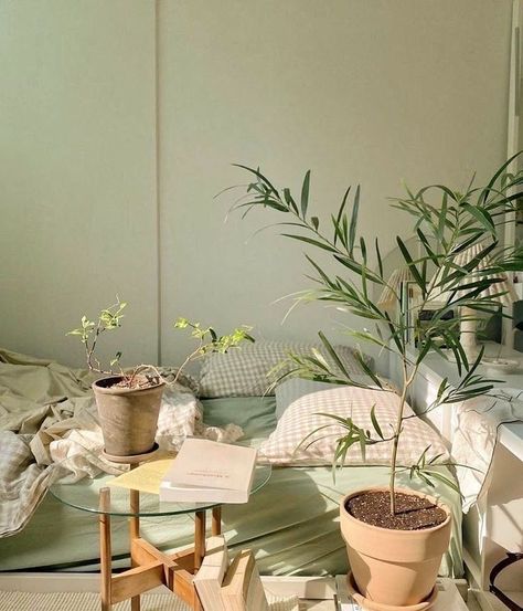 Sage Green Bedroom, Room Deco, Aesthetic Rooms, Pretty Room, Green Rooms, Bedroom Green, Room Inspiration Bedroom, Room Ideas Bedroom, Aesthetic Bedroom